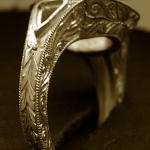 platinum engagement ring(fragment)